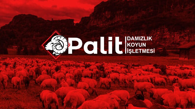 Logo Tasarımları