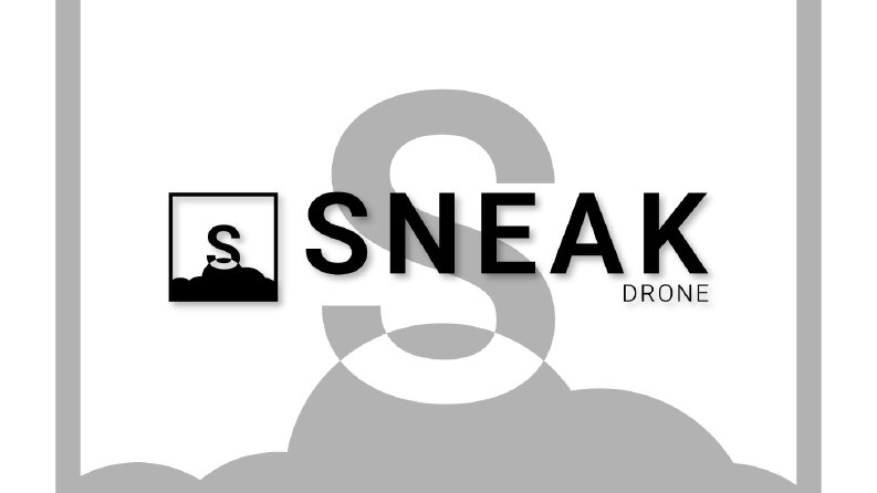 Sneak Drone