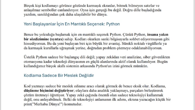 Python ile Kodlamaya Başlangıç: Örnek SEO İçeriği