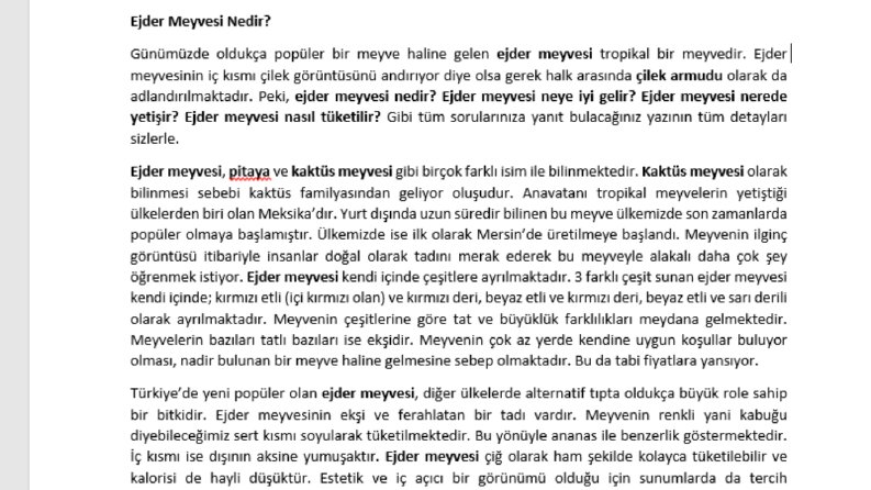 SEO Uyumlu Makele 