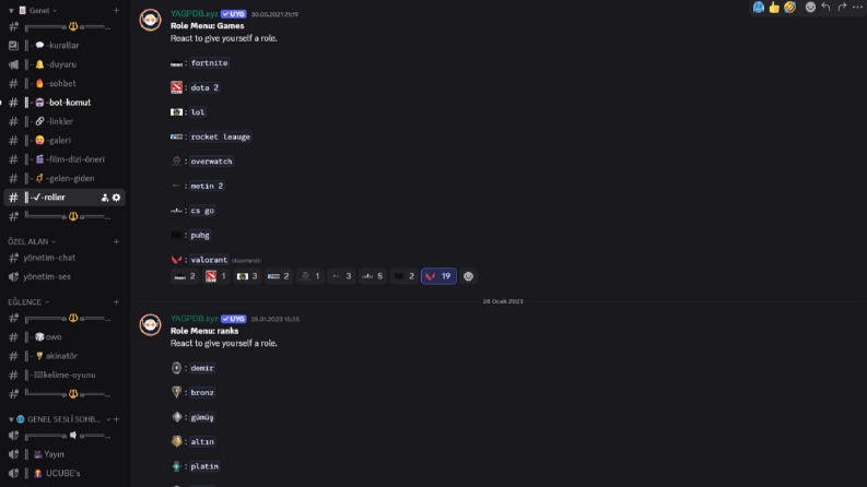 Public Discord Sunucusu