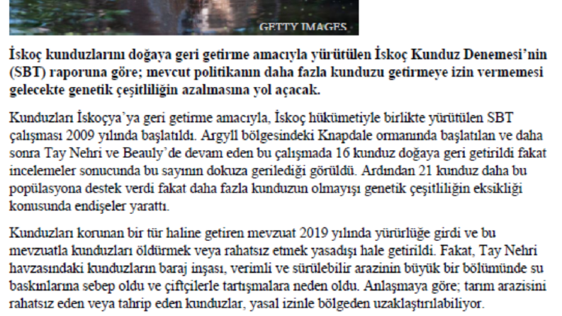 BBC Haber Çevirisi