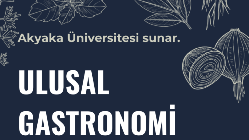 Broşür & Katalog Tasarımı