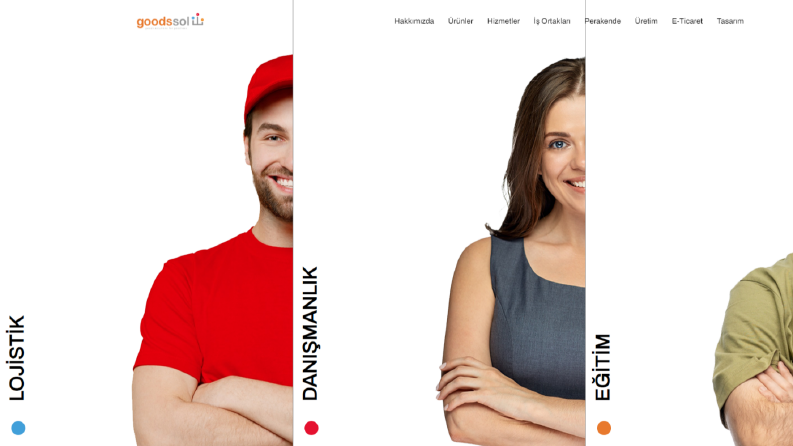 Goodssol-Web Sitesi