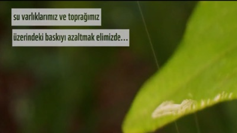 WWF’den Doğa İçin Farkındalık
