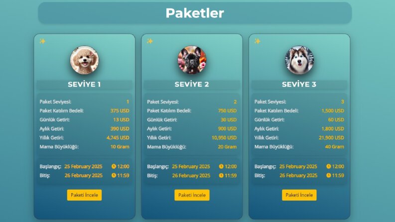 Kripto Yatırım Projesi - PWA