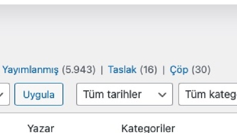 Günlük 80 Bin Hit