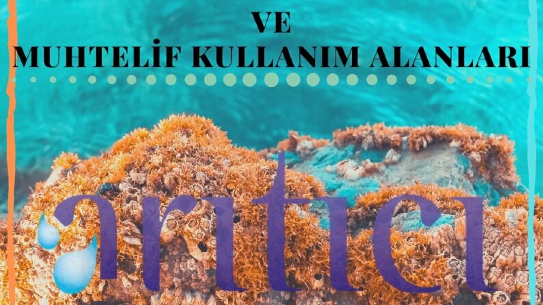 Katalog Tasarım