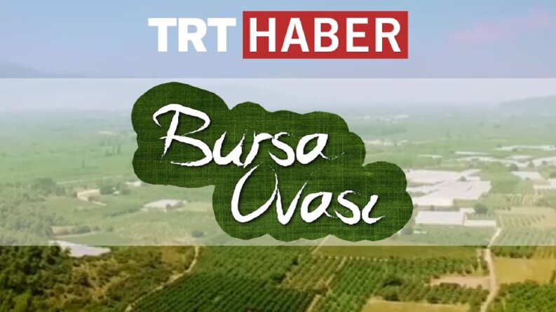 TRT HABER