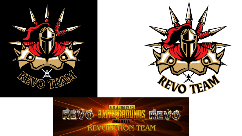 Pubg Revo Team