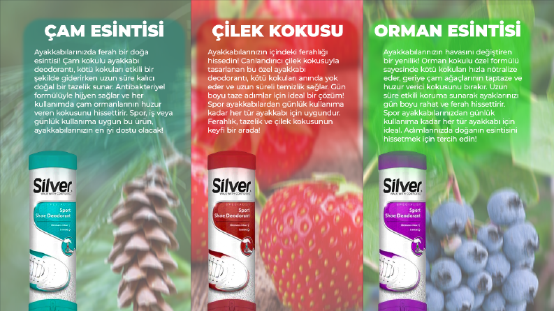Silver Broşür ve Afiş çalışması
