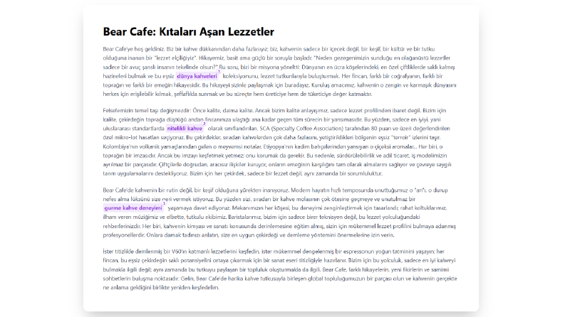 Bear Cafe - Web Sitesi İçeriği (Temel)