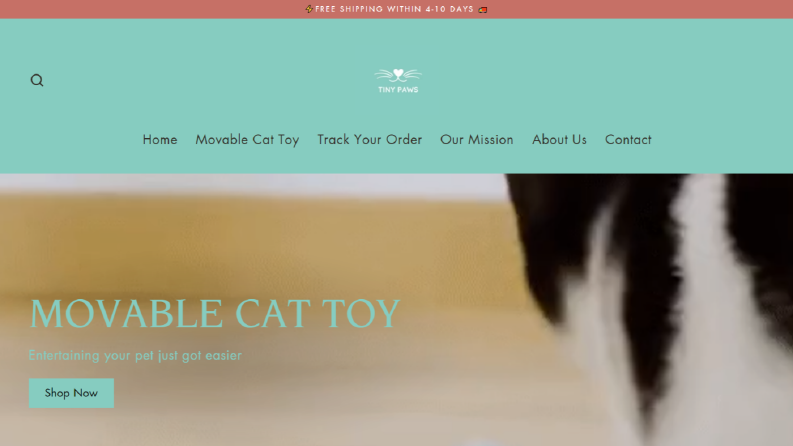 premium Shopify temaları ile site tasarımı