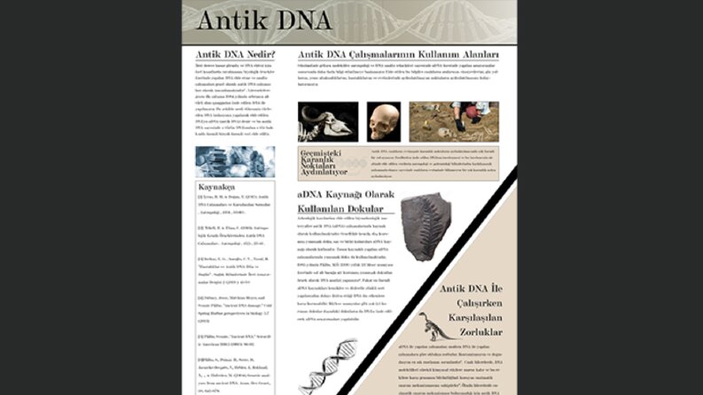 Akademik Poster Tasarımı
