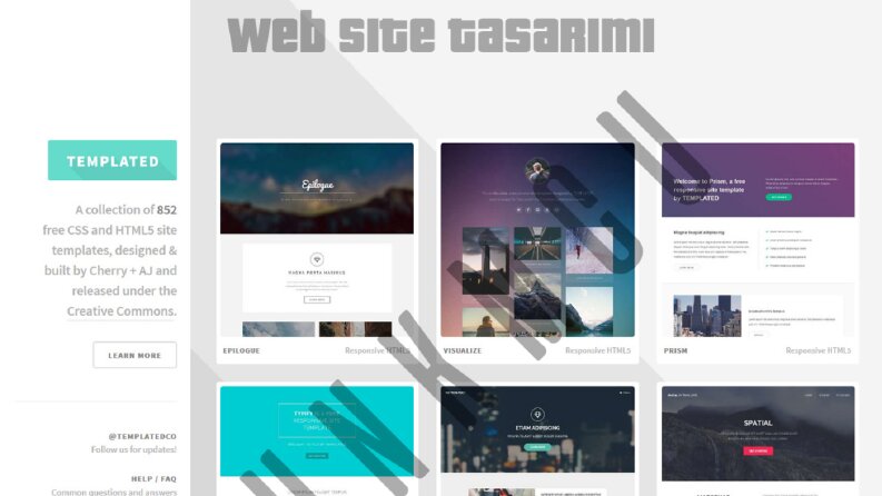 Web Sitesi Tasarım 2