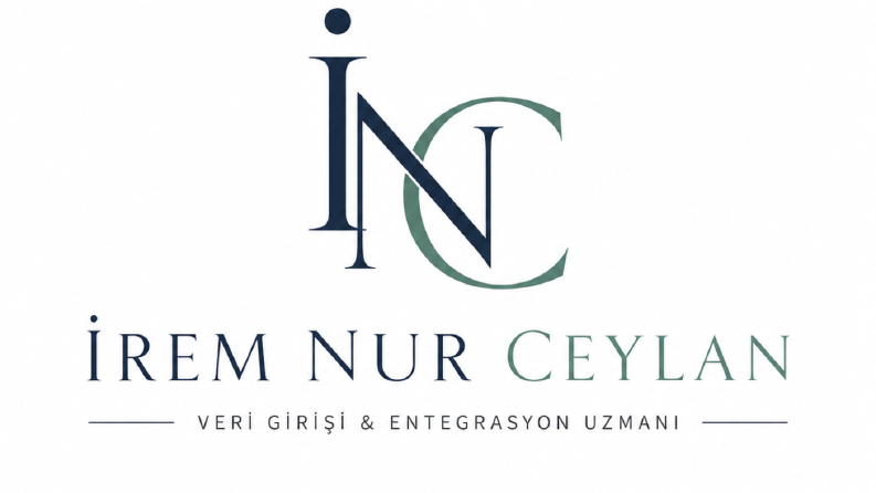 Veri Girişi Uzmanı İçin Modern Logo Tasarımı