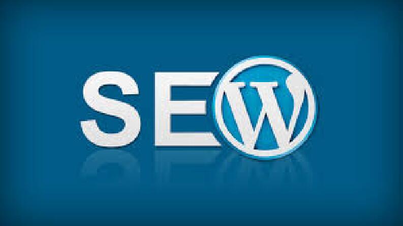 Wordpress Seo Nedir ?