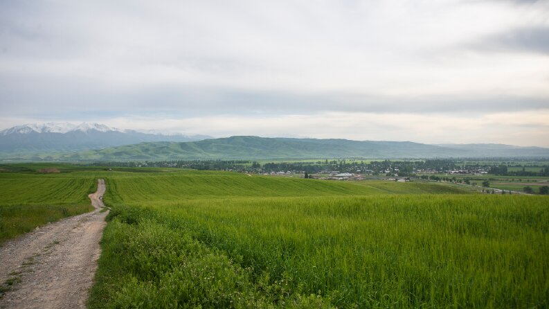 İş örneğim