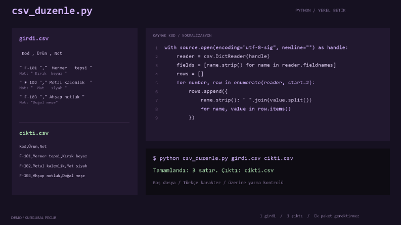 Python ile ürün CSV dosyası düzenleme