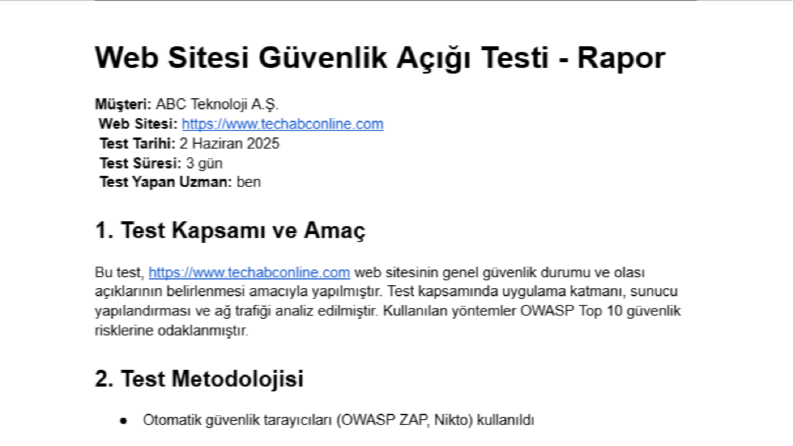 Örnek Siber İstihbarat Raporu