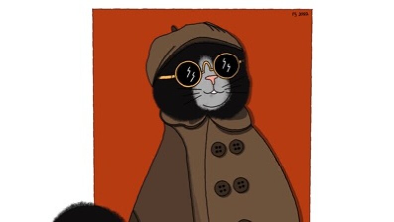 Cool Kedi
