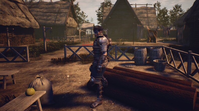 Medieval Game