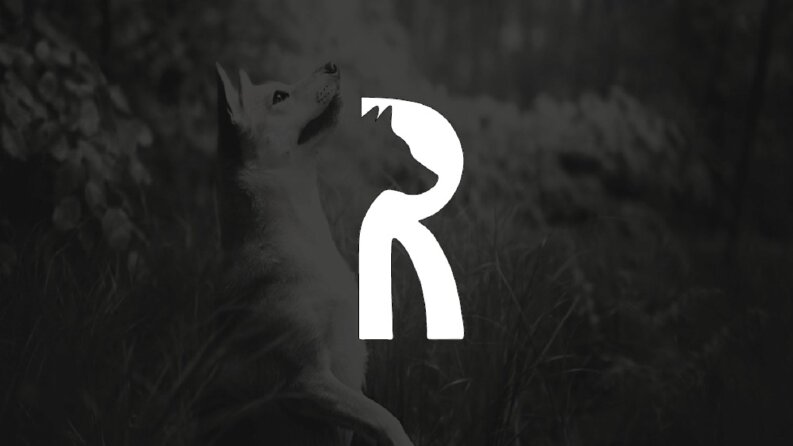 Richard Animal Nutritions - Şirket Logo Örneği
