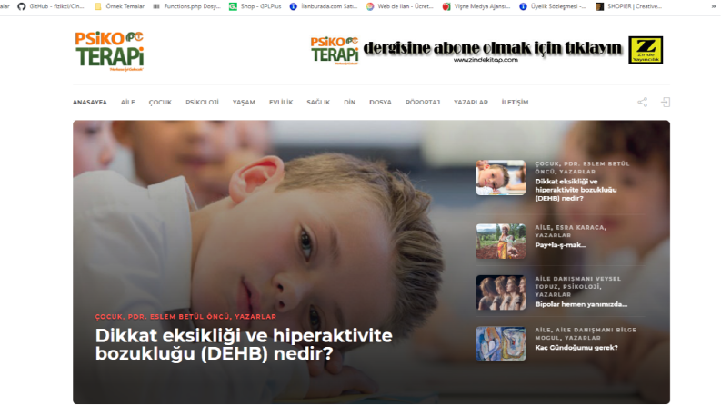 PsikoTerapi Dergisi Web sitesi 