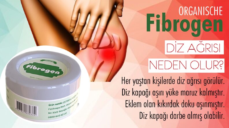 Banner Afiş Tasarımı