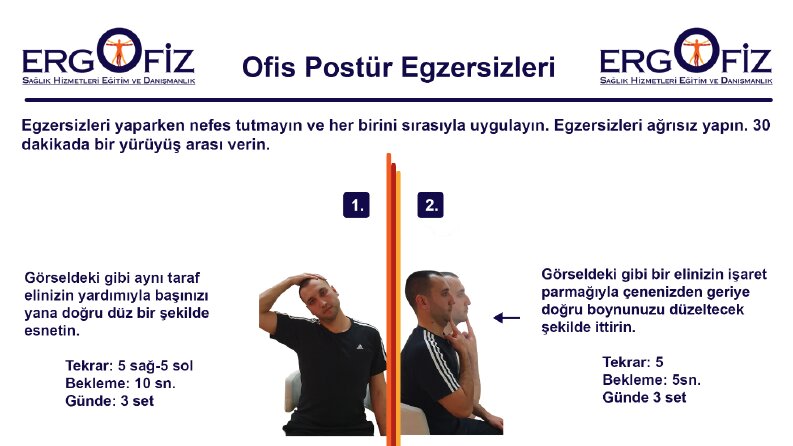 Ergofiz Broşür Tasarımı