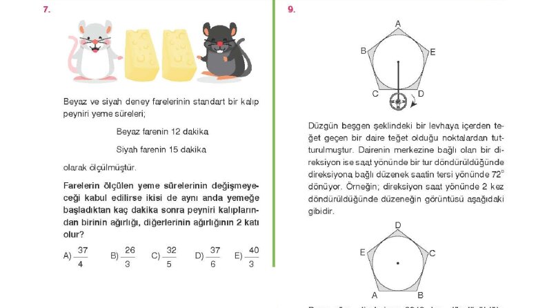 Örnek