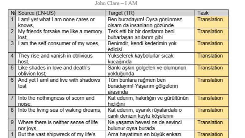 Şiir Çeviri Örneği