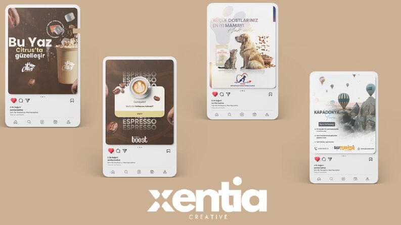 xentia desing