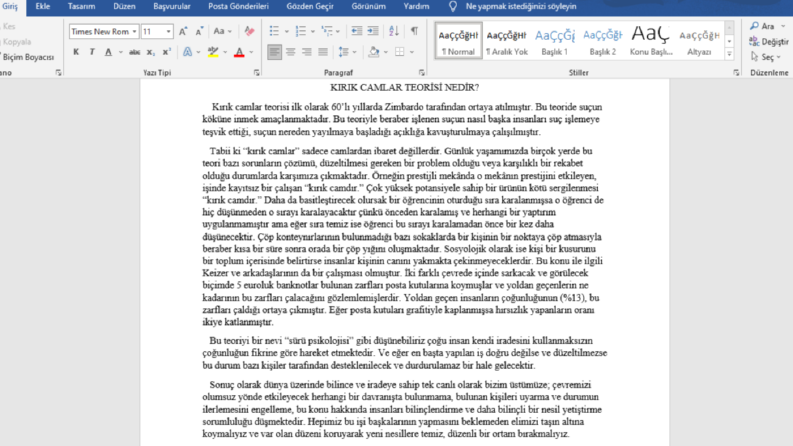 Yazmış olduğum bir metin örneği