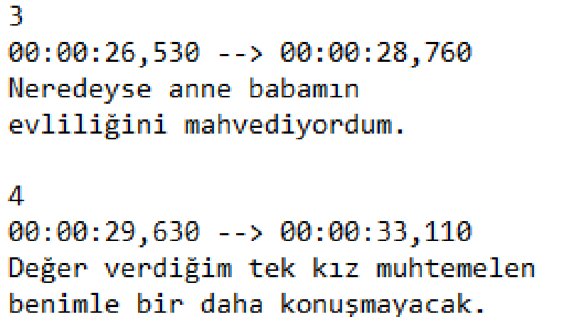 Alt Yazı Çevirisi