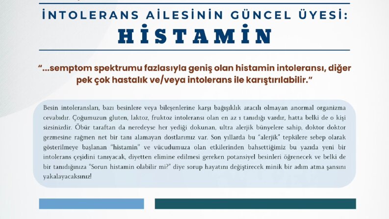 Beslenme Dergi Tasarımı