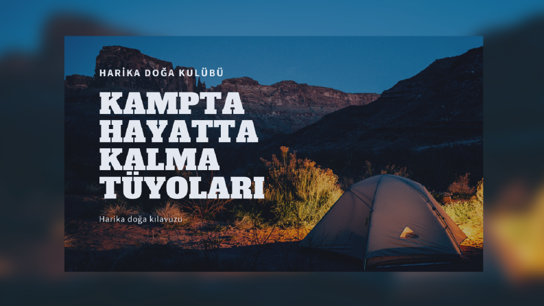 Kaydırmalı Kamp Gönderisi