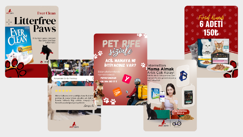 Petshop İçin Instagram Story & Post Serisi — Marka Kimliği