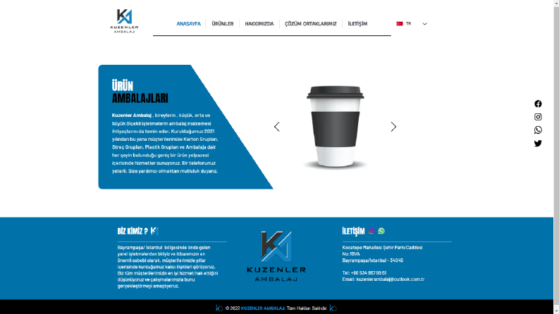 Web Tasarım