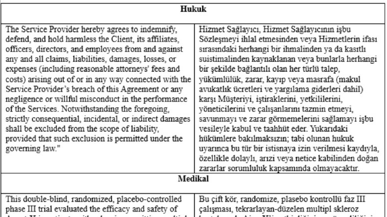İngilizce - Türkçe dil çifti için çeviri örnekleri