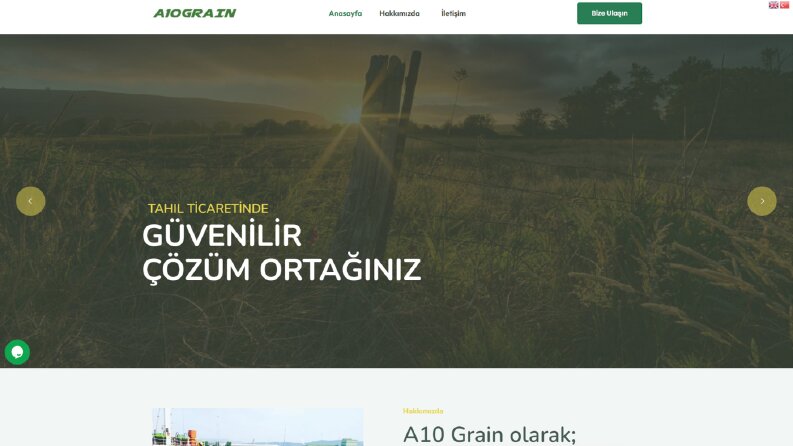 A10Grain Web Sitesi Tasarımı