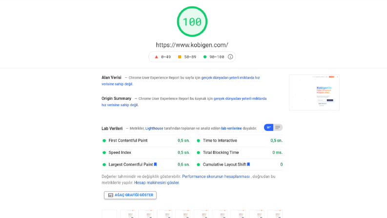 kobigen.com Litespeed Optimizasyonu