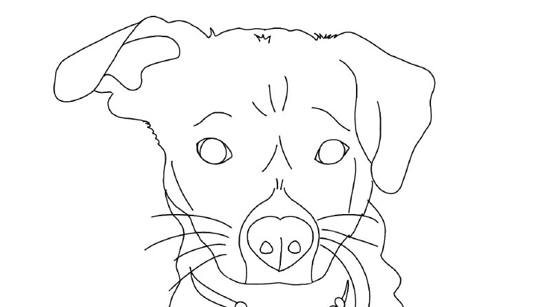 Çizgisel 