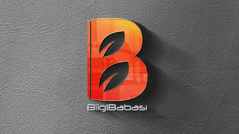 BilgiBabası.com Logo Tasarımı