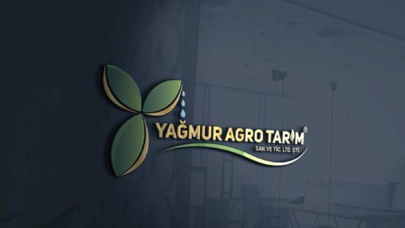 Logo Referans Çalışmalarımız