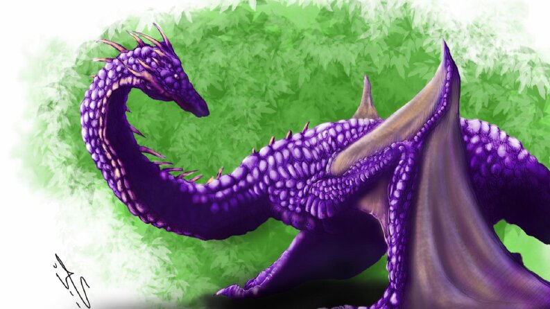 dragons