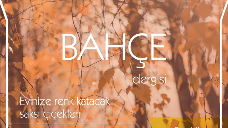 Dergi Tasarımı