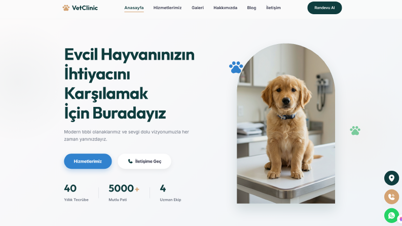Veteriner klnikleri için modern web sitesi