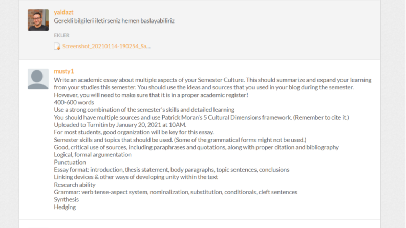 Essay in English; Mixed Martial Arts
