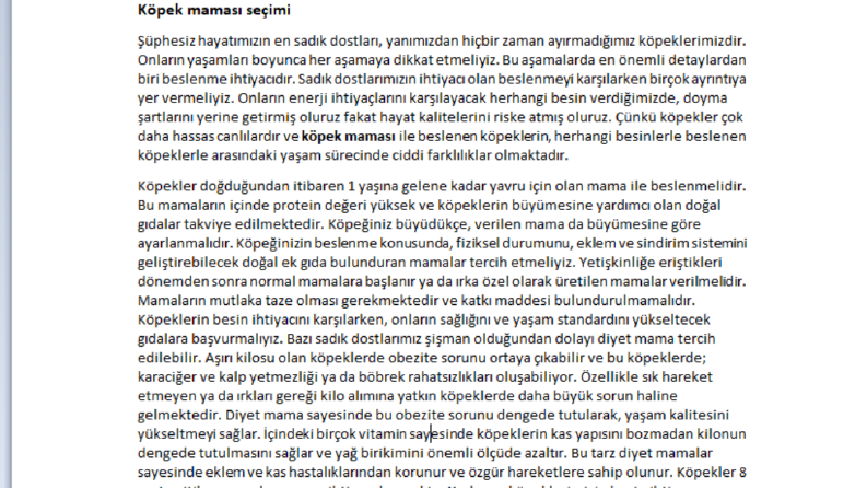 Petshop pazarlama içeriği